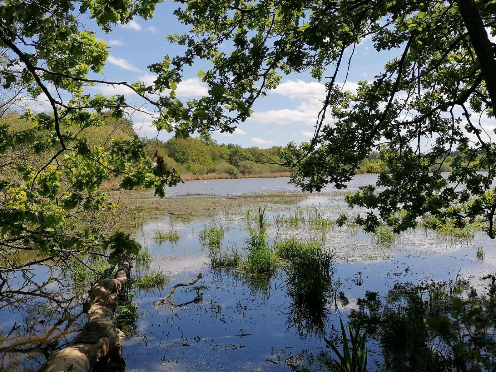 Ma Sologne,zoo Beauval,chateaux De La Loire,golf *